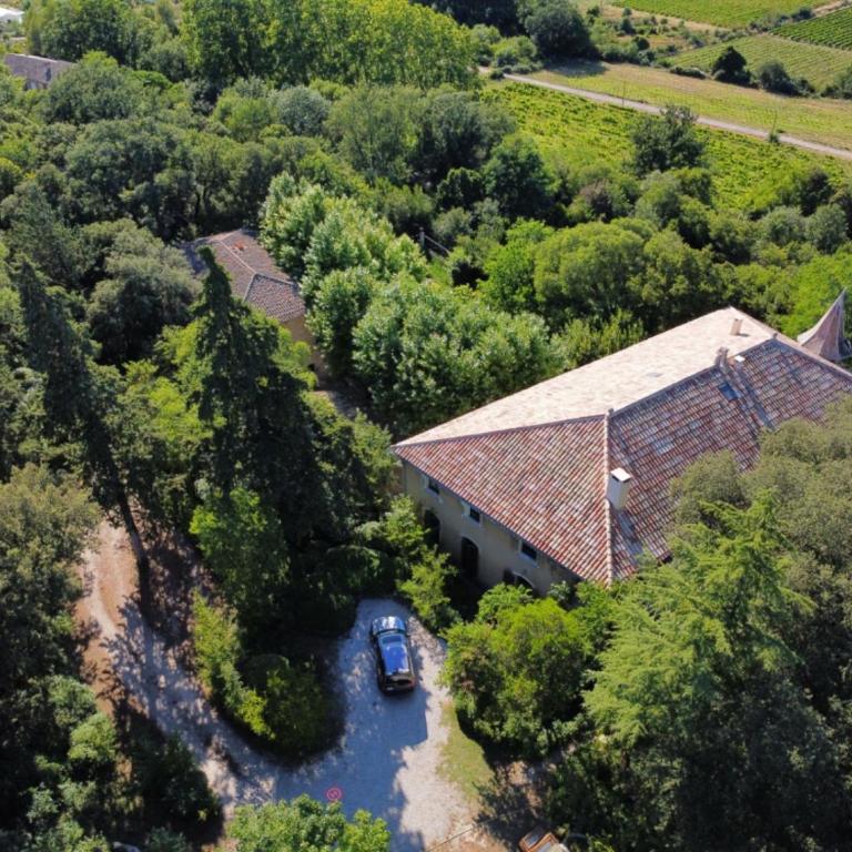 Château Daulone - Maison de Vacances - 4