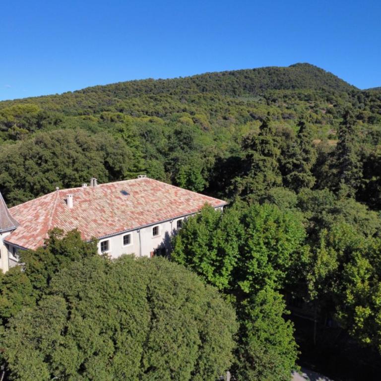 Château Daulone - Maison de Vacances - 7