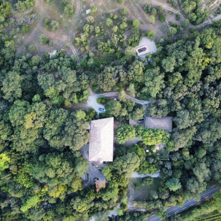 Château Daulone - Maison de Vacances - 10