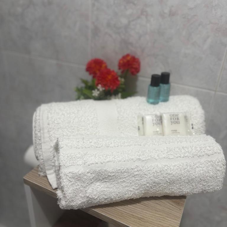 Nausika's House - Appartamento con 2 Camere da Letto - 10
