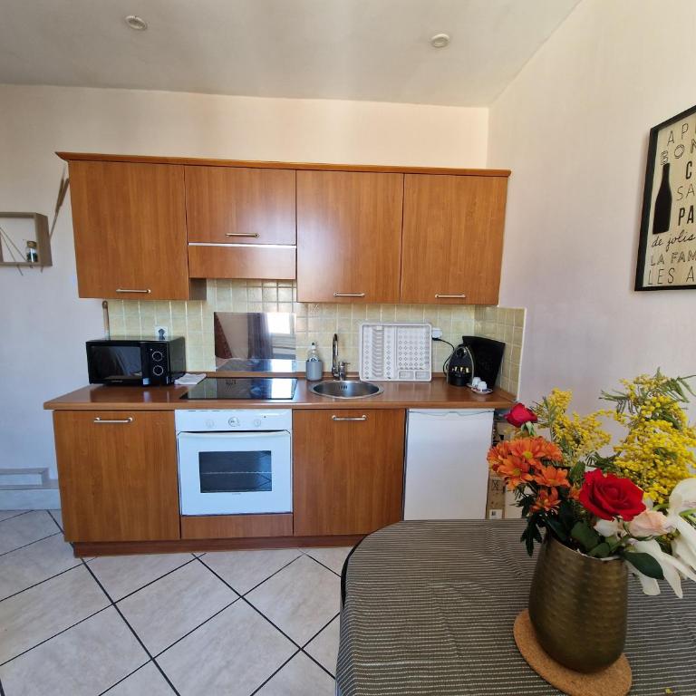 Le Centrale - Place Masséna - Appartement 1 Chambre - 11