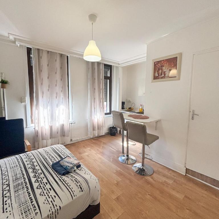 La ContrEscarpe - Studios de DEPANNAGE - Secteur GARE CENTRE - Deluxe Double Room - 3