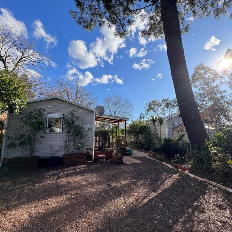 Sous les pins du Bassin - Mobile Home avec jardin - Casa con 2 Camere da Letto - 15