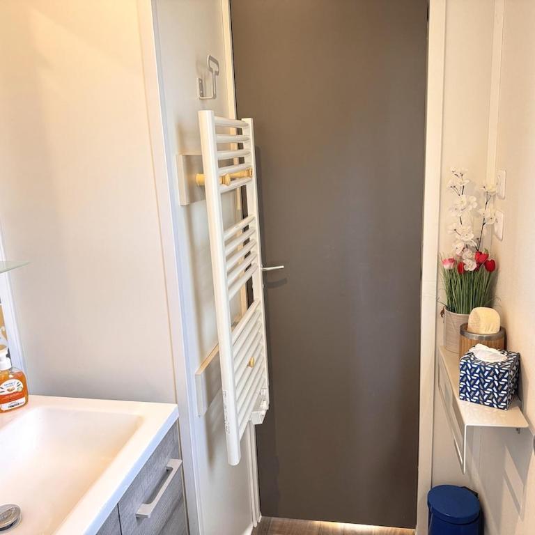Sous les pins du Bassin - Mobile Home avec jardin - Casa con 2 Camere da Letto - 23