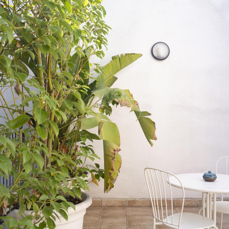 Imago Plus Hotel - Junior Suite con Terrazza - 3