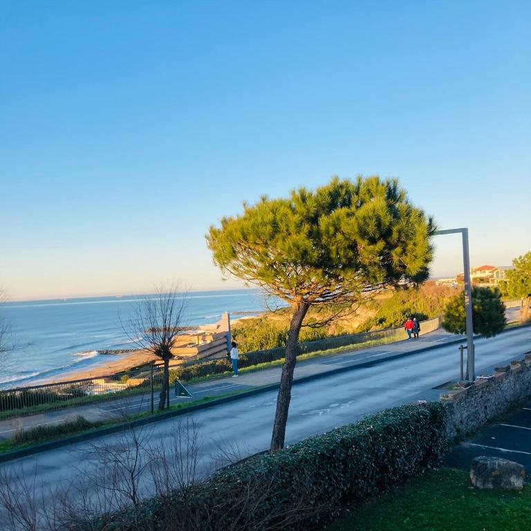 appartement à Anglet - Apartment mit 1 Schlafzimmer - 20