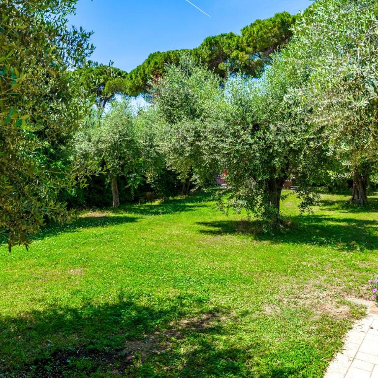 The Terrace on Lake Garda - lake view - Apartment mit 1 Schlafzimmer - 21