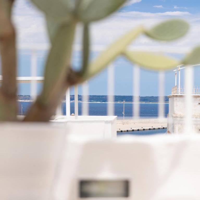 Palmieri Luxury Rooms - Camera Matrimoniale con Terrazza - 13