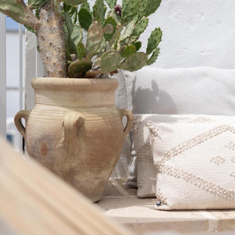 Palmieri Luxury Rooms - Camera Matrimoniale con Terrazza - 15