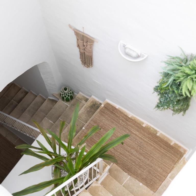 Palmieri Luxury Rooms - Camera Matrimoniale con Terrazza - 24