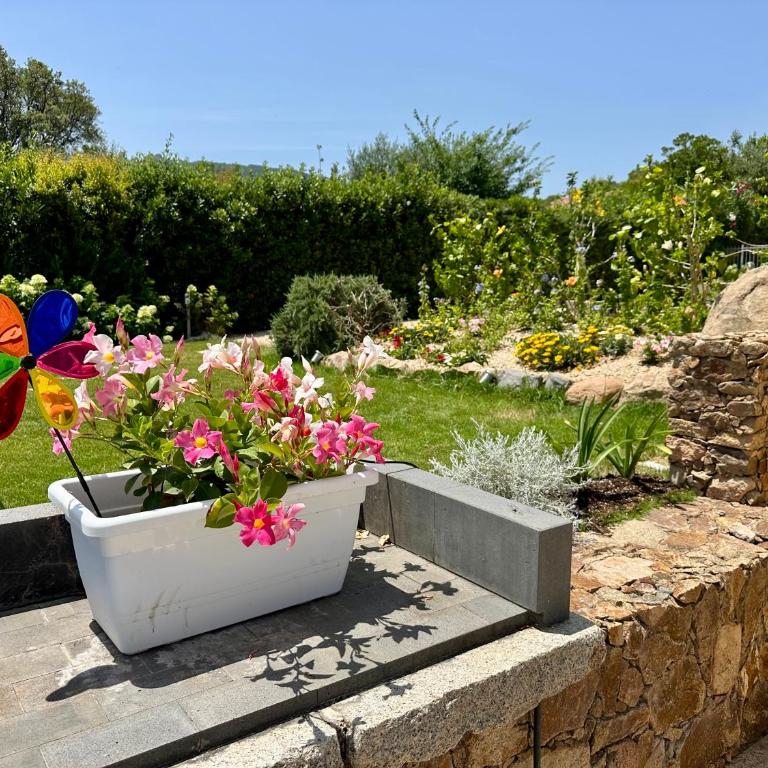Villa Zippiri Is Molas Pula - Casa con 2 Camere da Letto - 23