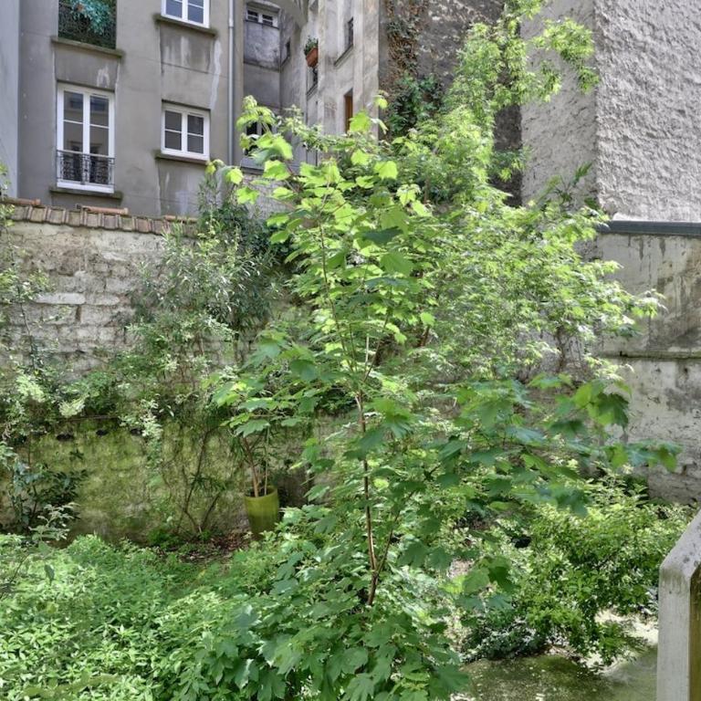 Cosy et charmant appart 4 pers - Apartamento de 1 dormitorio - 4