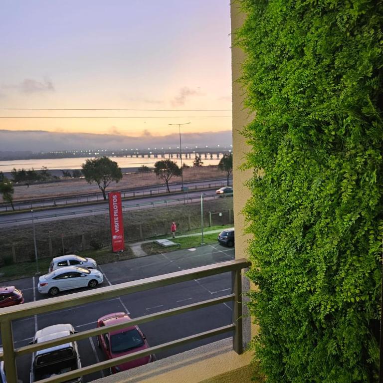 A Minutos de Mall Plaza, Clínicas y Restaurantes - Apartamento de 2 dormitorios - 1
