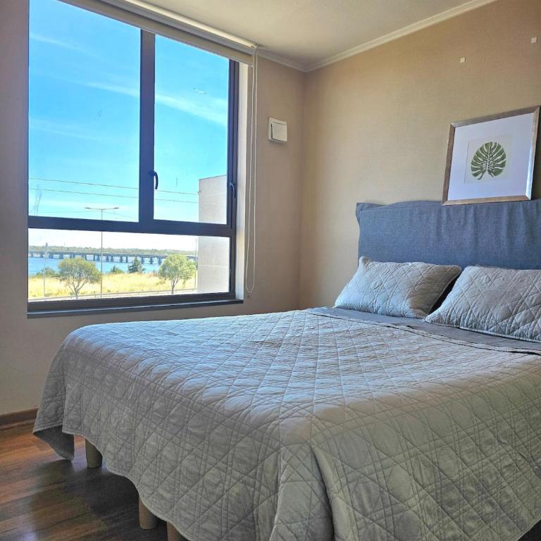 A Minutos de Mall Plaza, Clínicas y Restaurantes - Apartamento de 2 dormitorios - 17
