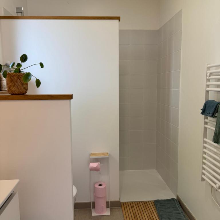 L'escapade Landaise à 10 minutes des plages - Appartement 1 Chambre - 6