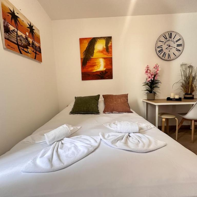 Chavalliaud 12 cocon en RDC proche centre-ville - Appartement 1 Chambre - 16