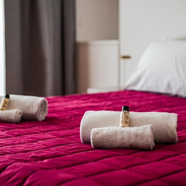 Rome Centre - Spacious Apartment - Jacuzzi - AC - WiFi - Appartamento con 2 Camere da Letto - 9