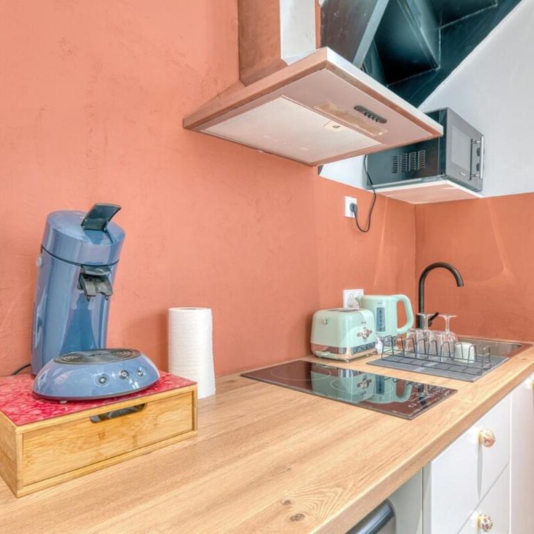 L'élégance Urbaine - Villeurbanne - Proximité Lyon - Appartement 1 Chambre - 12