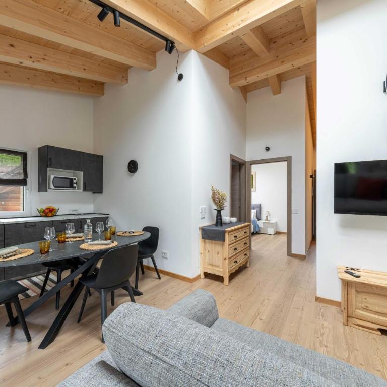 Sass Maor - Caminetto - Appartamento con 1 Camera da Letto - 5