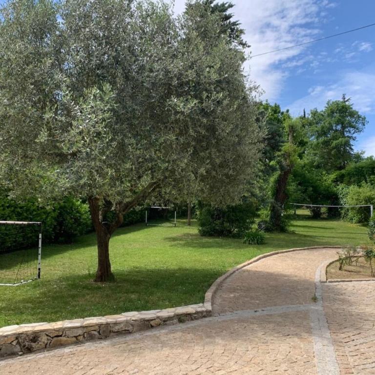 Belle et spacieuse villa - piscine - jardin - Villa - 8