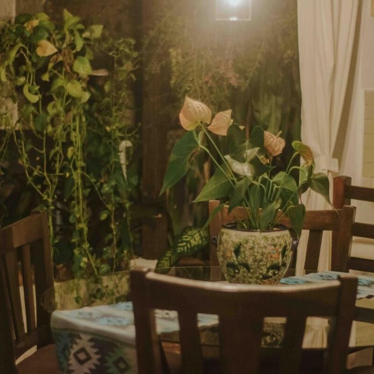 PrivateAPT Downtown PV-Unique Vallarta Experience - Two-Bedroom Apartment - 12