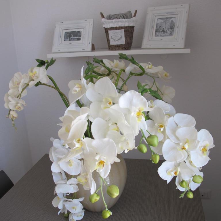 Guest House Suite - Suite - 2