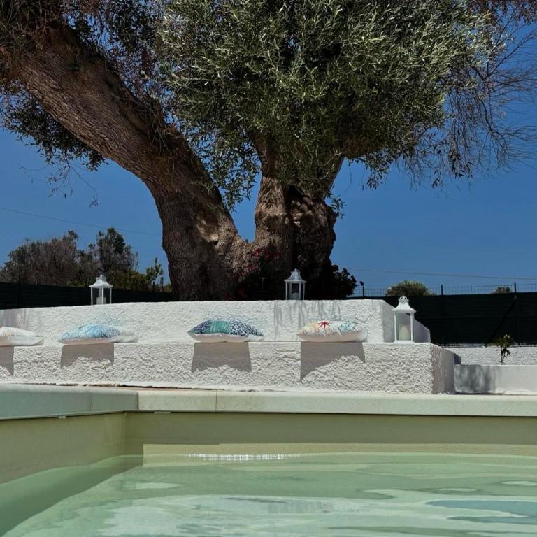 Dimora del Gufo - Villa con 3 Camere da Letto - 4