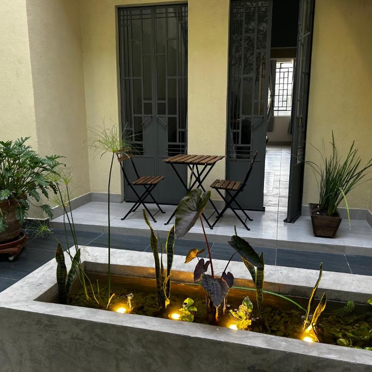 Apartamento completo planta baja Colonia Moderna - Apartamento Estudio con cama extragrande - 10