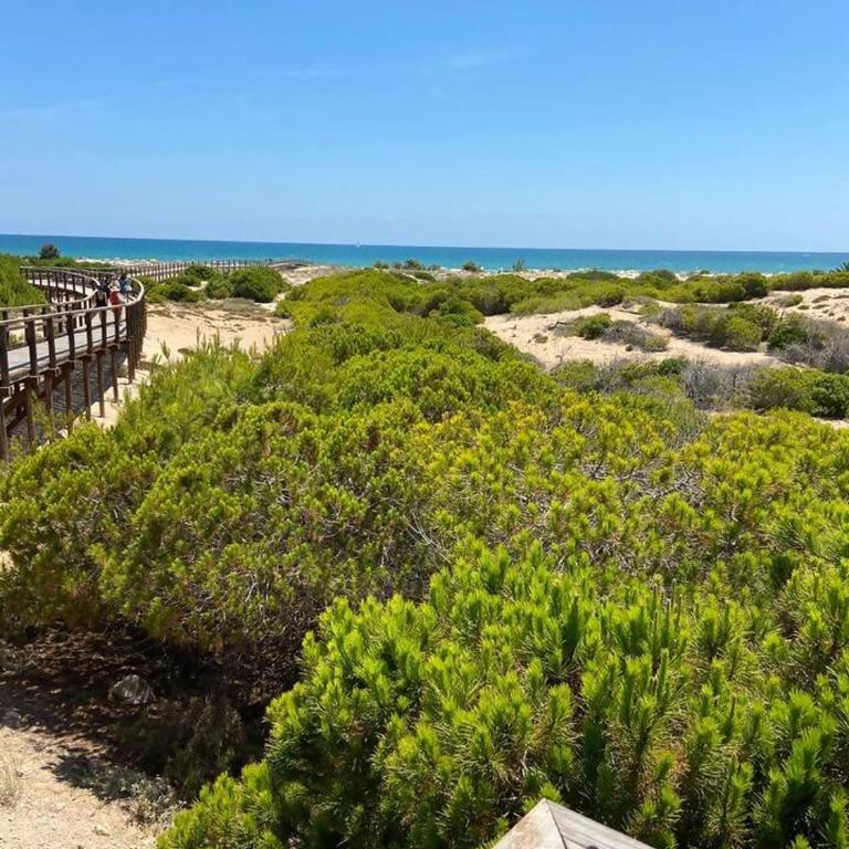 Arenales de Sol-Urb San Antonio - Apartment with Sea View - 27