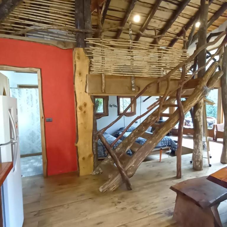 Reserva Nido del Chucao - Bungalow - 3