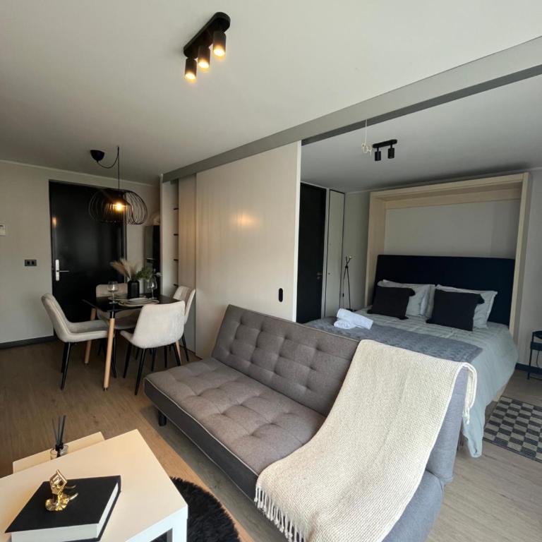 M&C department Roberto Espinoza 807 - Apartamento de 1 dormitorio - 2