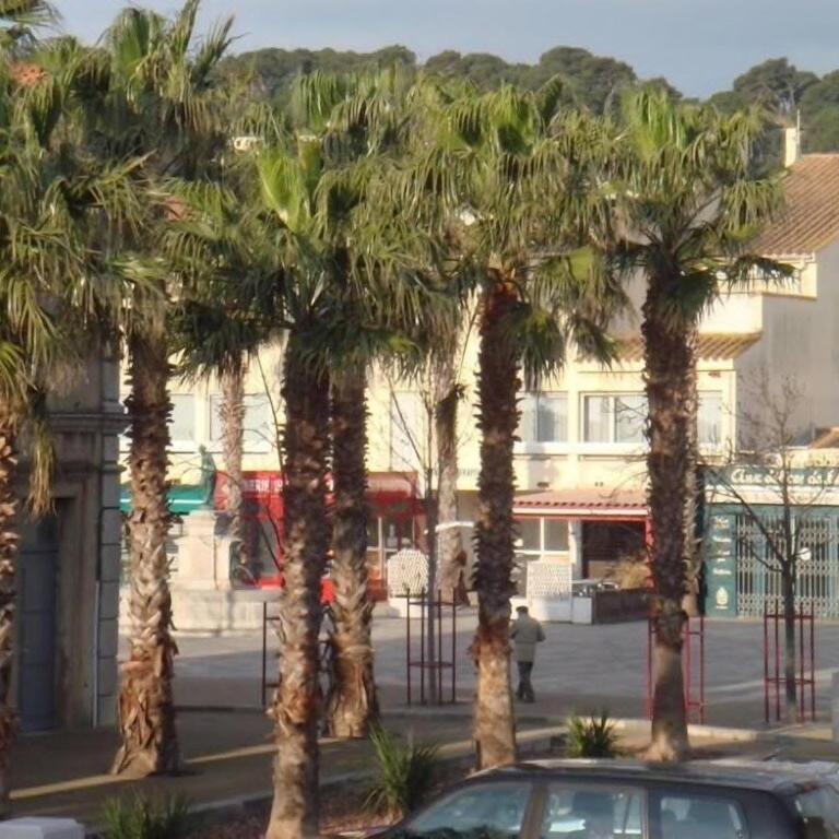 Au cœur du village de Gruissan - Apartment mit 1 Schlafzimmer - 17