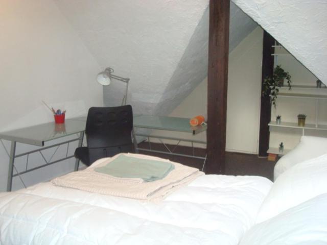 Cosy appartement quartier Orangerie - Appartamento con 1 Camera da Letto - 12