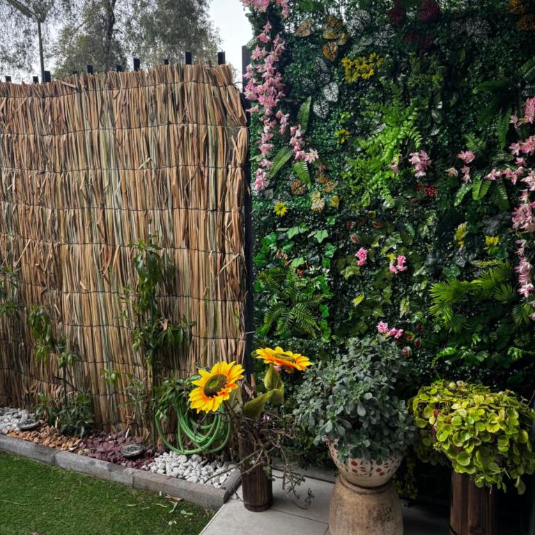 Spa Magallanes - Apartamento de 1 dormitorio - 14