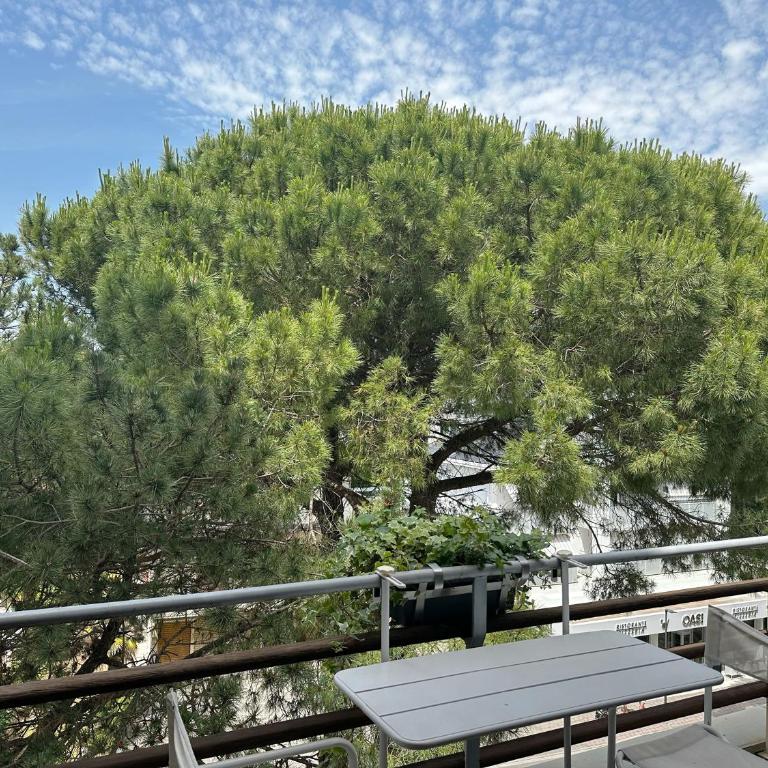 Lignano Pineta Apartment with pool - Two-Bedroom Apartment with Terrace - 28