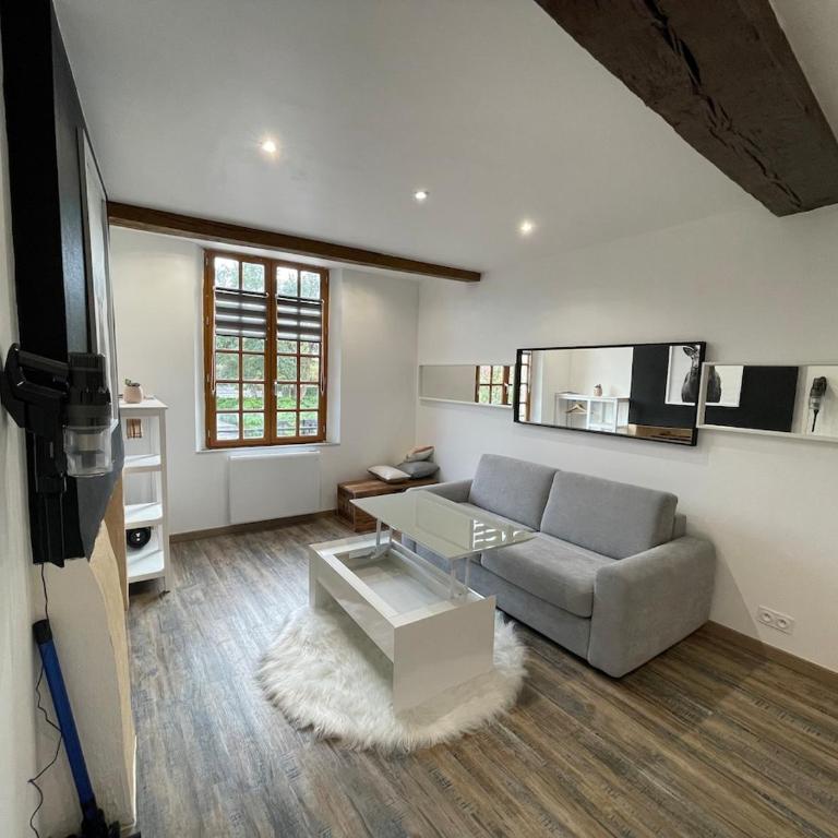 Appartement charmant hyper centre - Appartement 1 Chambre - 1