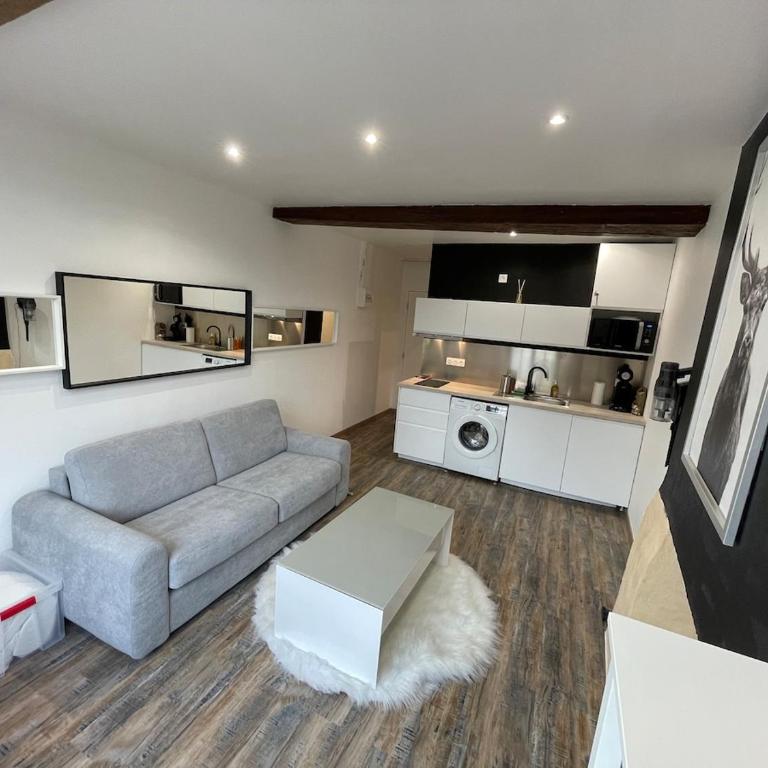 Appartement charmant hyper centre - Appartement 1 Chambre - 2