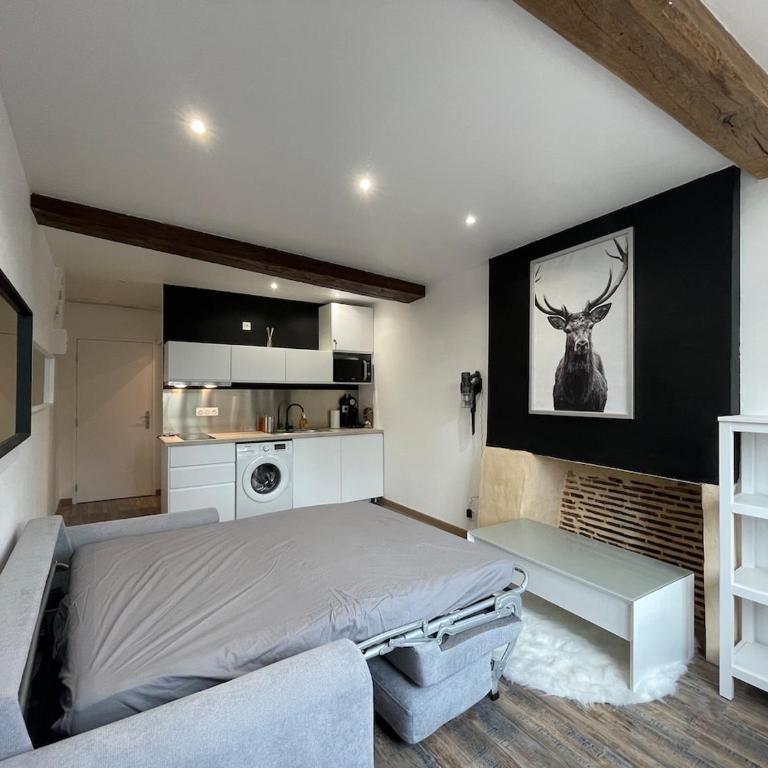 Appartement charmant hyper centre - Appartement 1 Chambre - 3