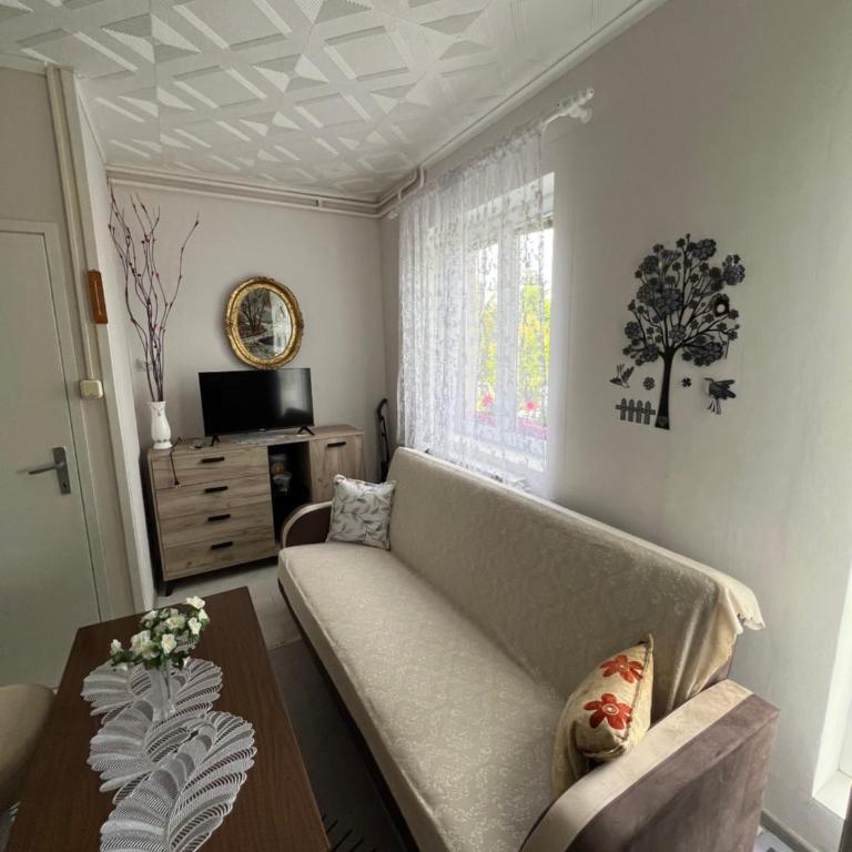 Apartments Obradović Milan - Two-Bedroom Apartment with Balcony - 6