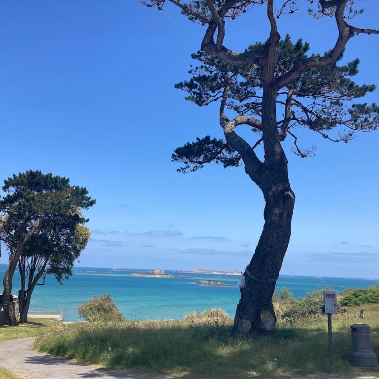 T2 de Charme dans Villa Typique, Proche de la Mer - Appartamento con 1 Camera da Letto - 42