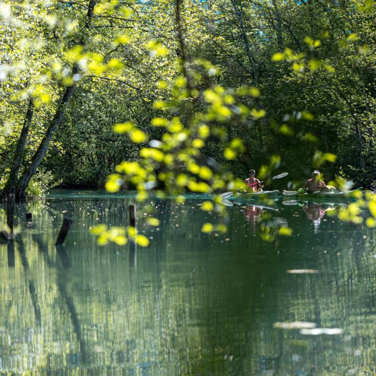 Les Lodges du Lac - Cabane sur Pilotis - 10
