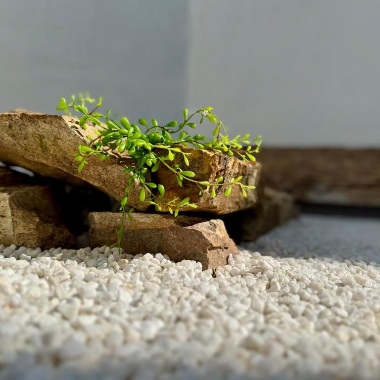 UNETTI Oasis de Confort & Terraza Zen - 2 Plantas - Ferienhaus - 27