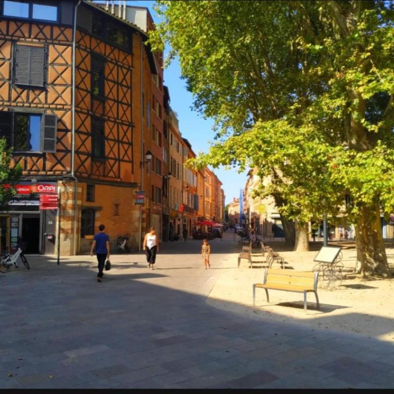 Appartement Centre Carmes - Appartement 1 Chambre - 24