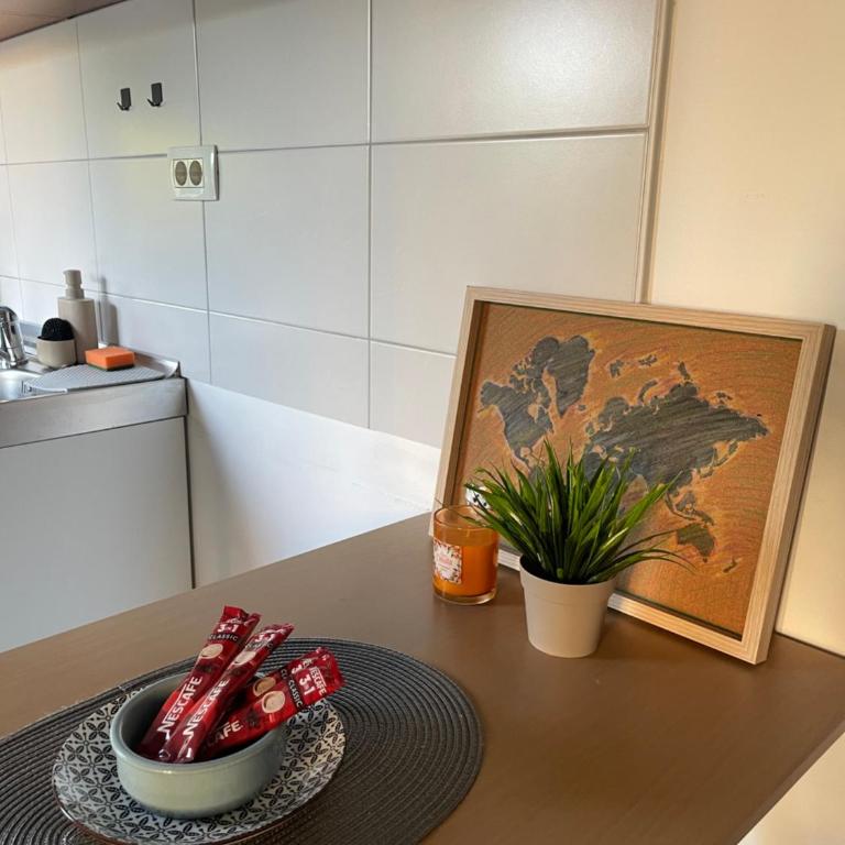 Apartman Zrinjski - Standard Studio - 4