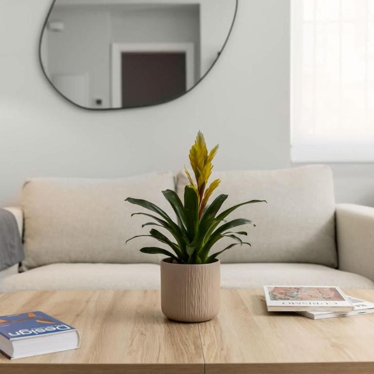 AltaHomes Málaga Design, Light and Comfort - Apartamento de 3 dormitorios - 14