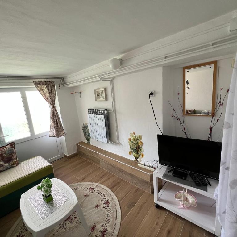 Apartments Obradović Milan - Studio Apartment - 3