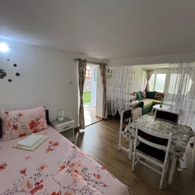 Apartments Obradović Milan - Studio Apartment - 1