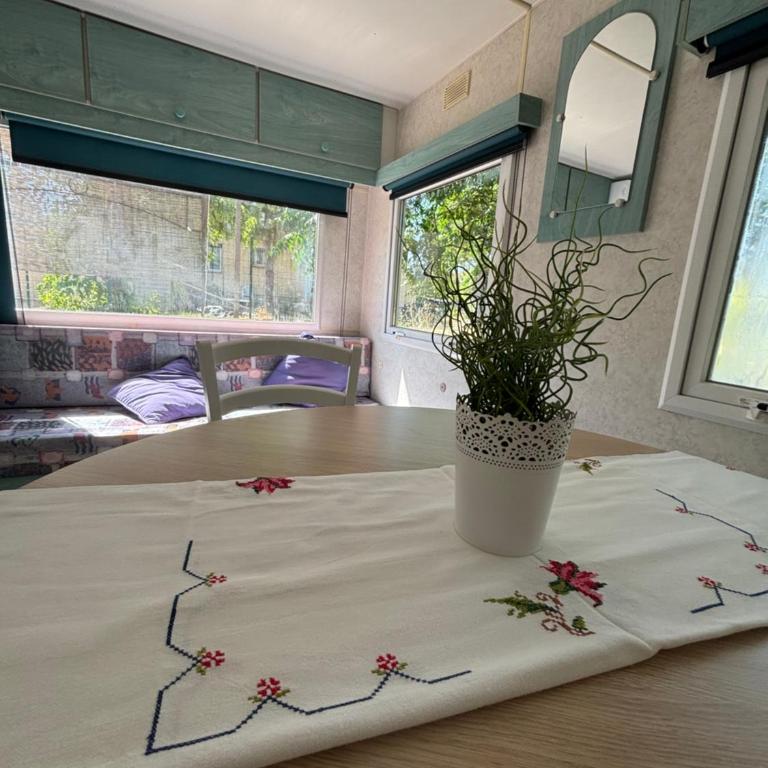 Mobil Home dans propriété privée - Mobile Home - 18