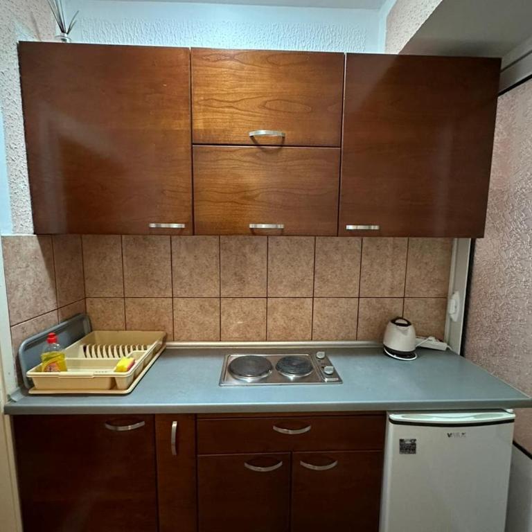 APARTMENT 02Villa KRIVOKAPIC - Apartman sa 2 Spavaće Sobe - 7