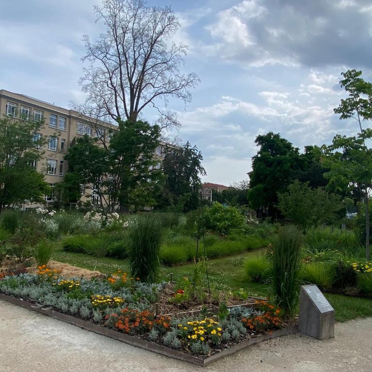 Escale nancéienne , Nancy centre , parking GRATUIT - Apartment mit 2 Schlafzimmern - 5